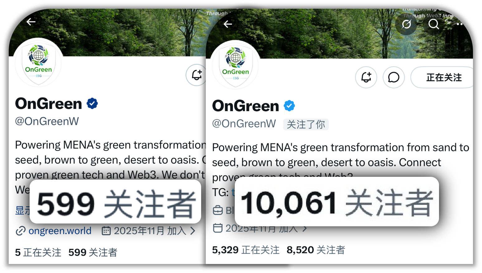 0 → 10k in 3 months 1